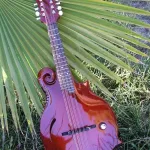 liquidMandolinFirstR001.jpg