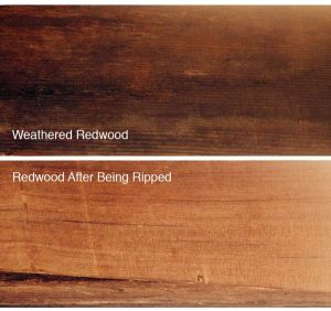 surfboard_redwood