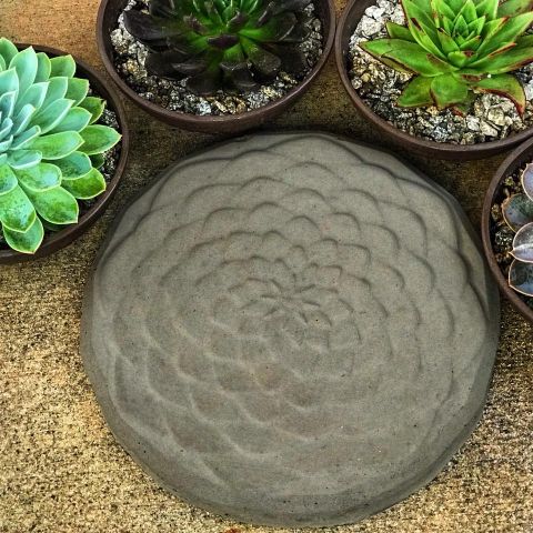 succulent