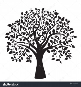 stock-vector-black-tree-silhouette-isolated-on-white-background-vector-102856430