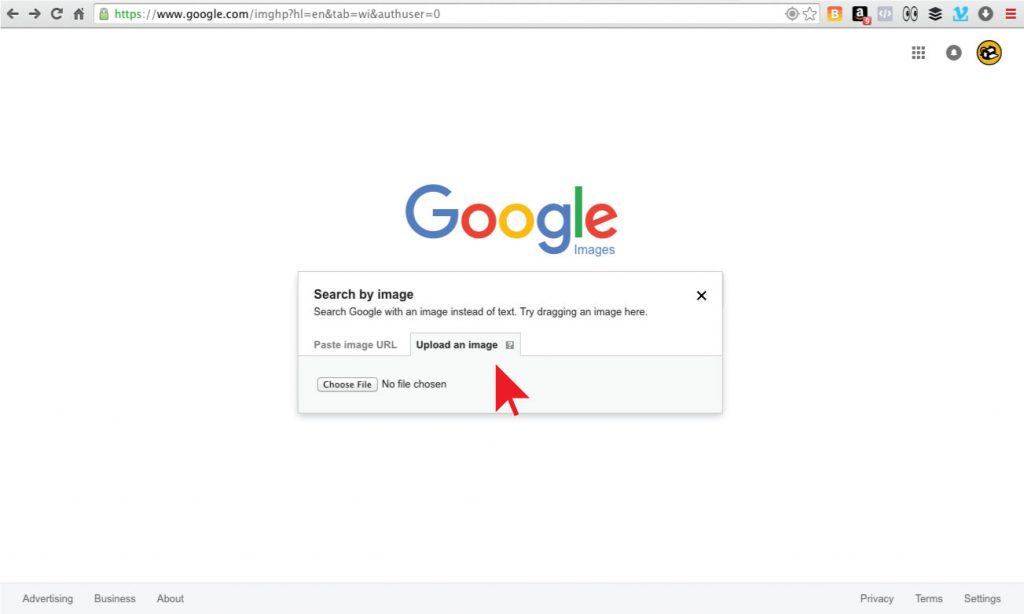 google image search tool